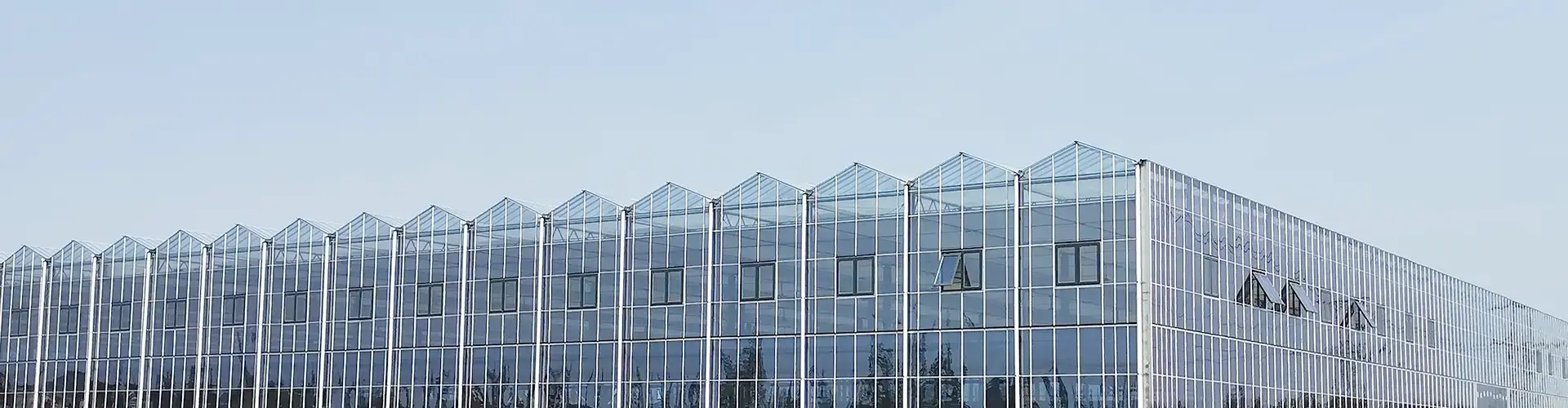Växthus i glas