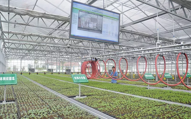 Hur kan jag använda Greenhouse Irrigation System Mobile Sprinkler?