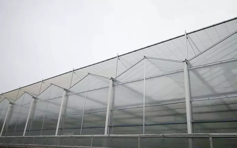 Avancerad PC Greenhouse Technology Pioneers Hållbart jordbruk