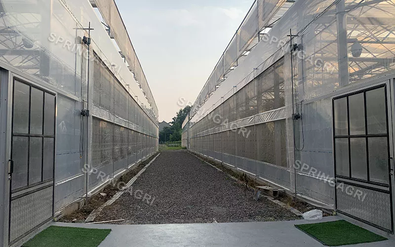 Kommersiellt Multispan PO Plastic Agriculture Greenhouse