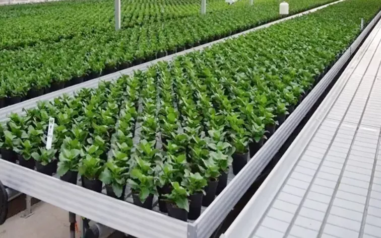 Växthus Nursery Abs Plast Hydroponic Brickor