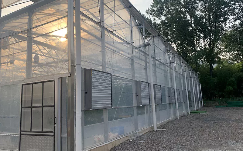 Hot Sale Greenhouse Push Pull Avgasfläkt Ventilationsfläkt