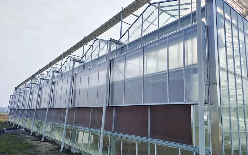 Multi-Span Clear Polycarbonate Greenhouse till salu
