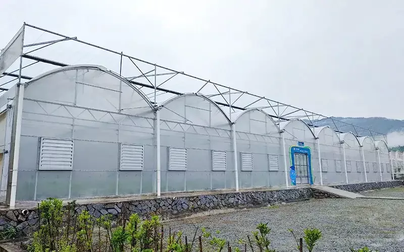 Multispan Plast Film Växthus